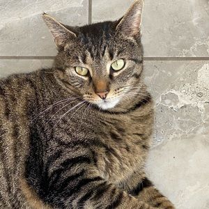 Meet your Posher, Stacy